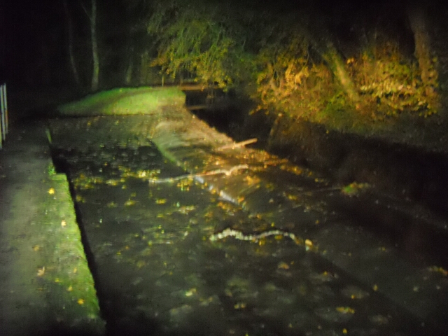2014-11-22-verneuil-l-etang (08)