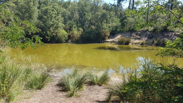 2019-07-13 saint-jean-de-monts (17)