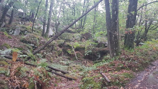 2019-08-18 - milly-la-foret (10)