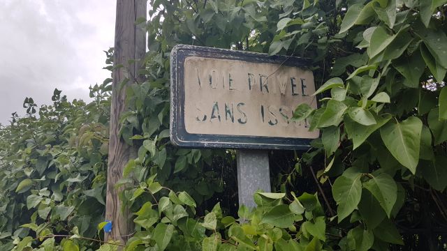2019-08-18 - milly-la-foret (23)