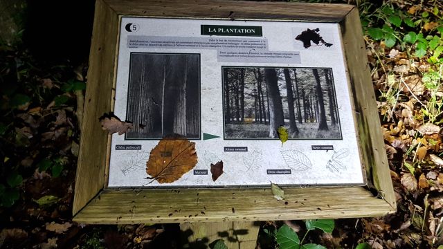 2019-12-07 - bonnieres-sur-seine (06)
