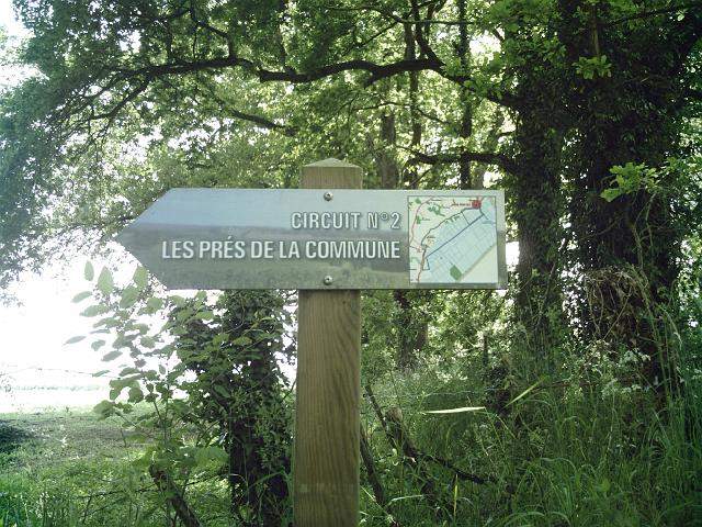 2009-05-23-grandlieu (066)