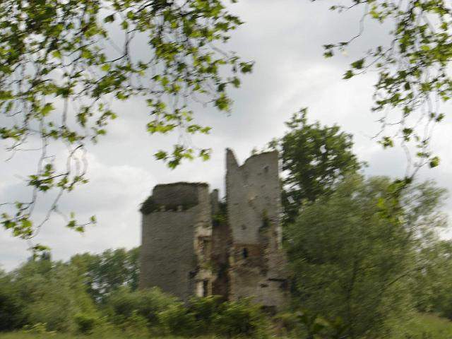 2009-05-23-grandlieu (081)
