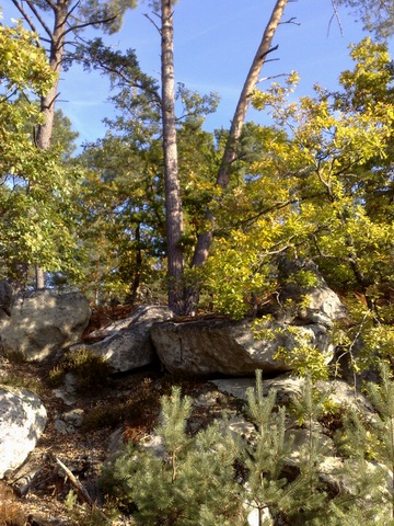 2009-10-18-malmontagne (05)