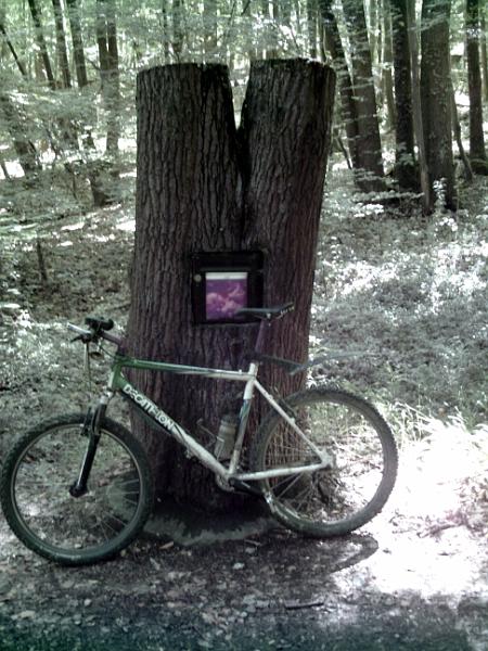 2010-07-04-maisse (02)
