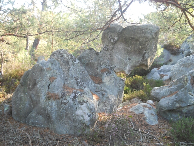 2015-09-02-le-vaudoue (45)