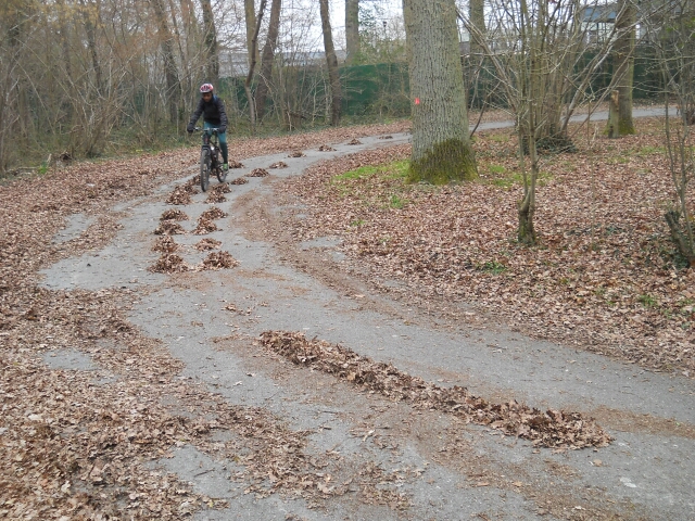 2016-03-19-bondoufle (05)