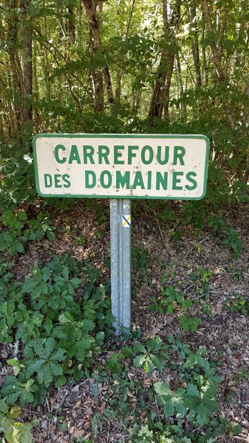 2018-09-01 - neuville-aux-bois (06)