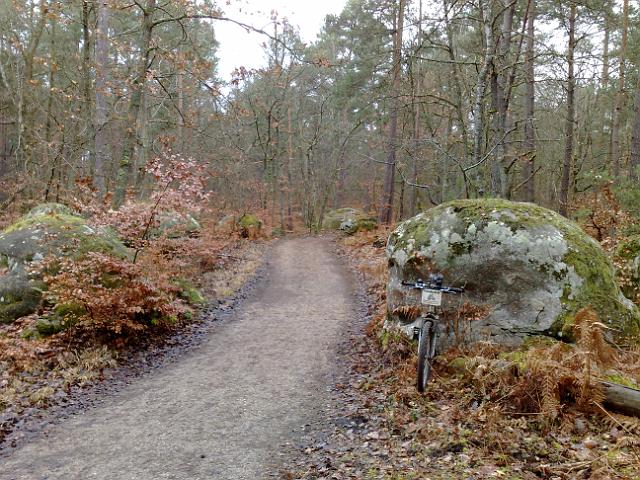 2011-02-13-dammarie (00)