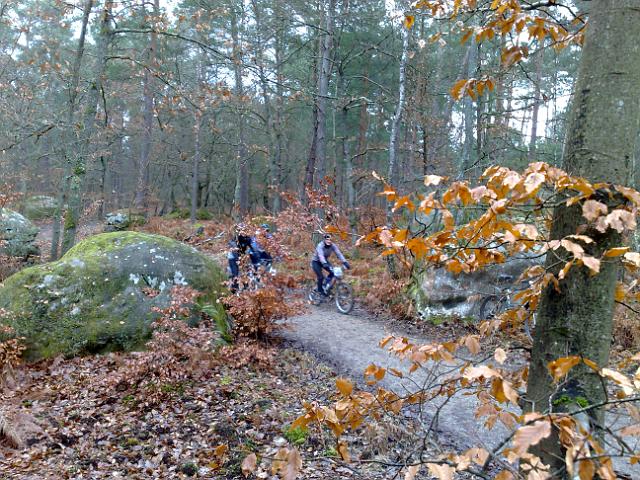 2011-02-13-dammarie (01)