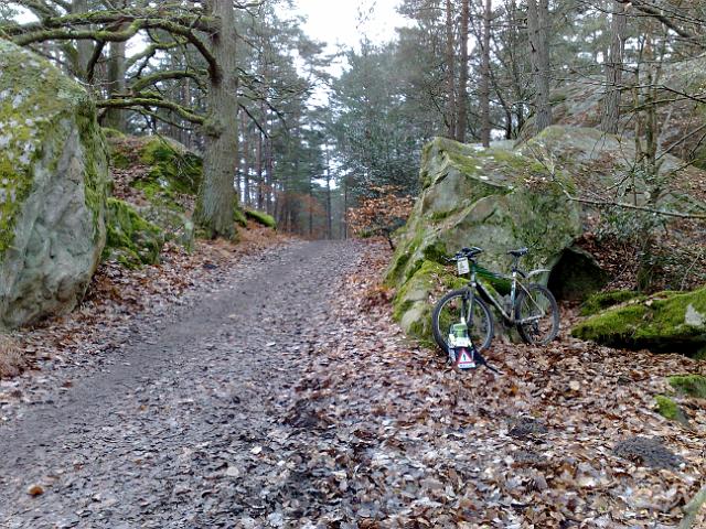 2011-02-13-dammarie (10)