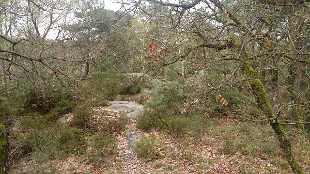2011-04-03-transsudessonne (08)