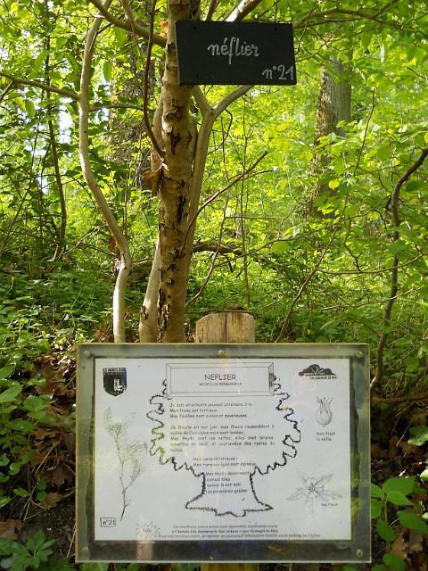 2011-04-11-dourdan (18)