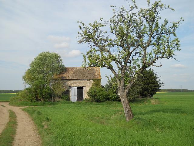 2011-04-11-dourdan (25)
