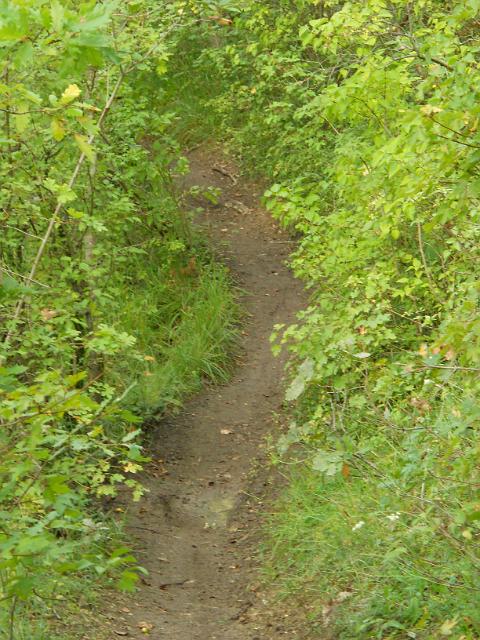 2011-09-04-saintry (16)
