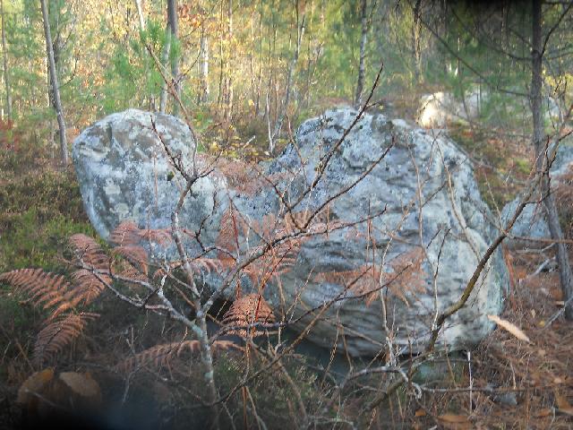 2011-11-20-milly (09)