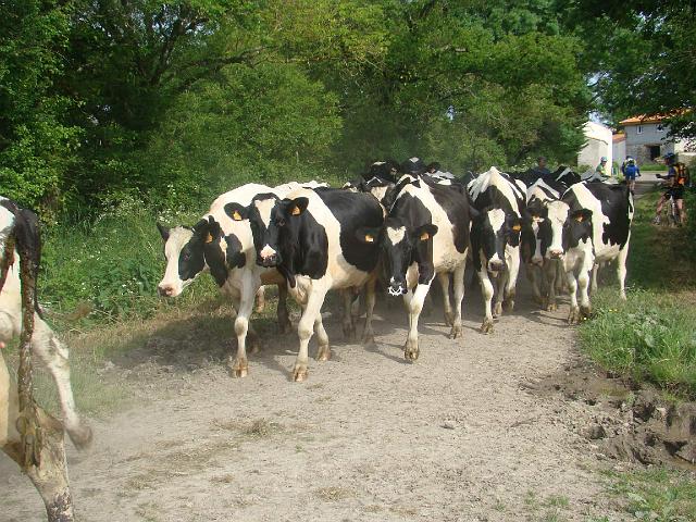 2009-05-21-pornic (038)