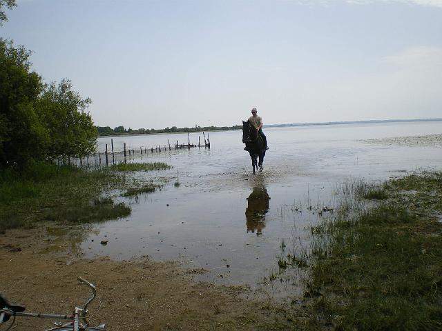 2009-05-23-grandlieu (059)