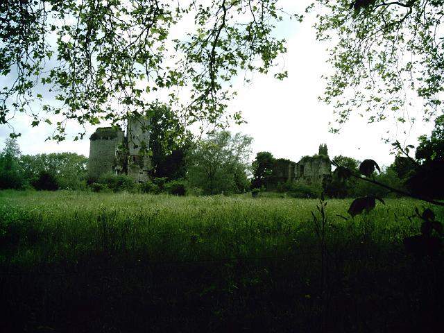 2009-05-23-grandlieu (085)
