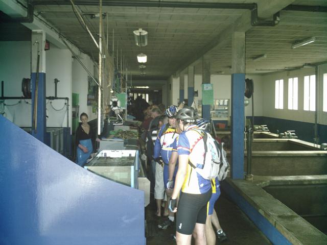 2009-07-18 - brem (03)