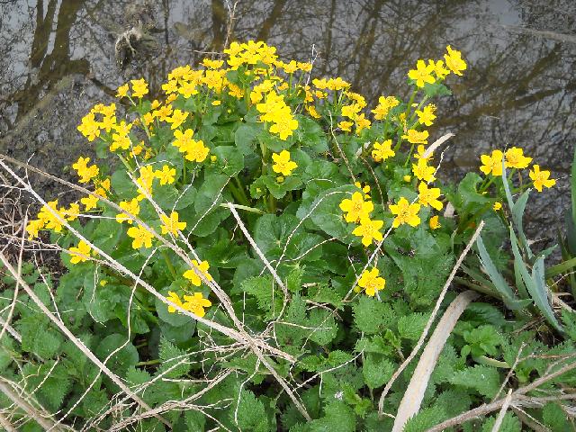 2012-03-31-yerres (13)