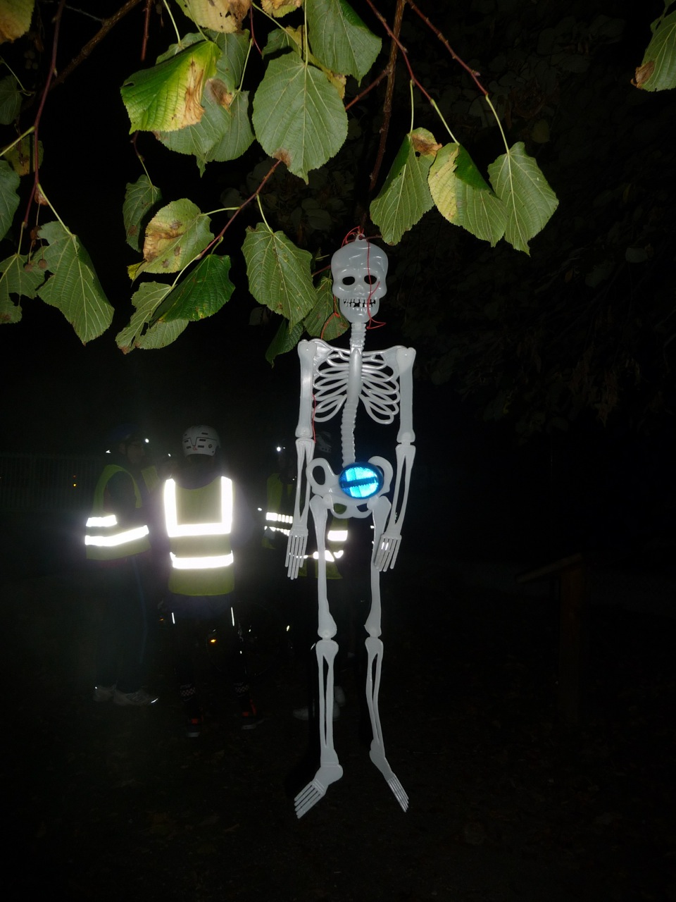 2012-10-27-brevanight (06)
