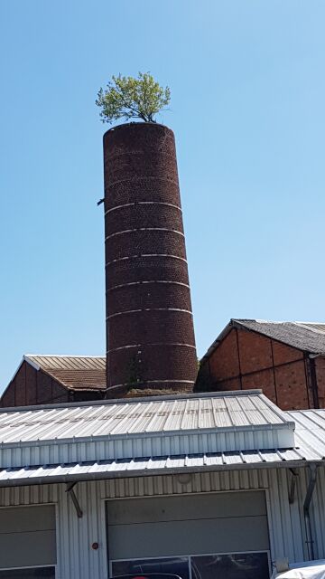 017-06-18 - chevry-cossigny (18)