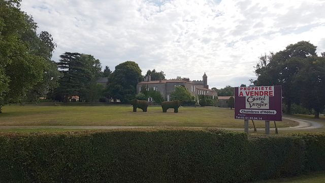 2017-08-01 saint-christophe-du-ligneron (08)