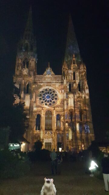 2017-08-25 - chartres (08)