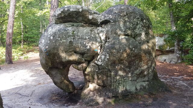 2017-08-27 - fontainebleau (41)