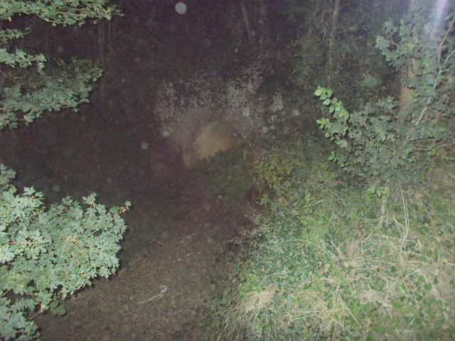 2017-09-23 - fontaine-la-guyon (09)