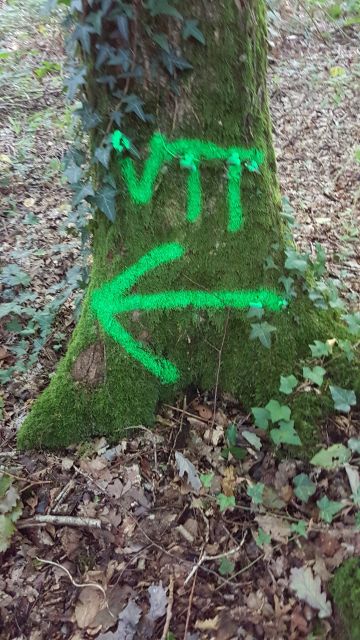 2017-09-24 - cesson (13)