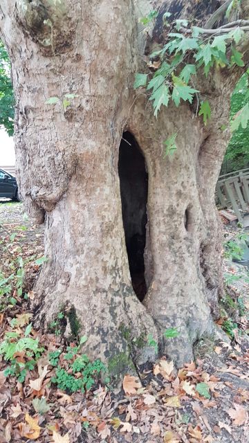 2017-10-01 - savigny-sur-orge [13)