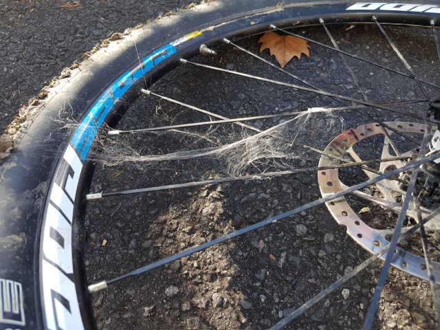 2018-10-13 - baulne (016)