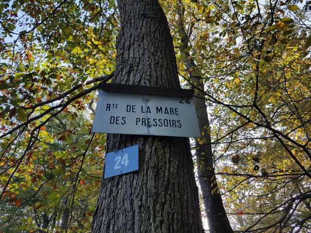 2018-10-21 - veneux-les-sablons (22)