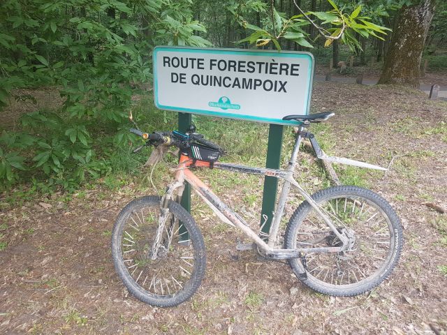 2020-06-07-bruyeres-le-chatel (02)