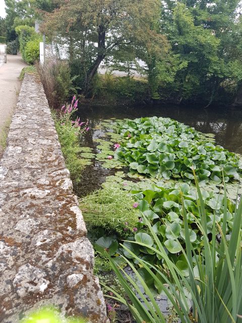 2020-08-16-beauvoir-sur-mer (19)