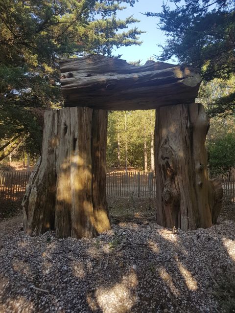 2020-09-17-la-barre-de-monts (14)
