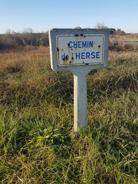 2020-11-22 - saint-jean-de-monts (03)
