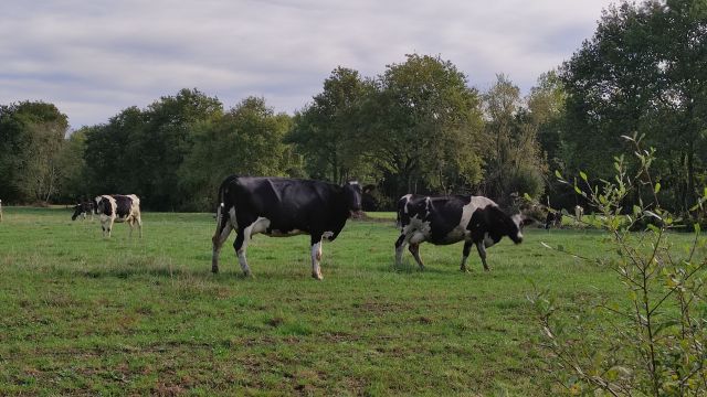 2021-10-03 commequiers (11)