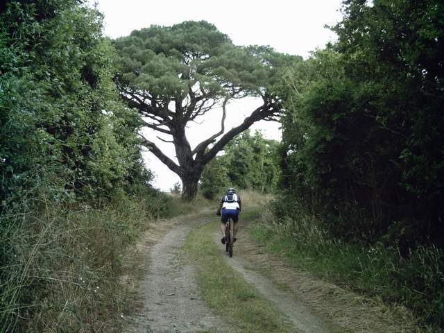2007-07-08 - brem (09)