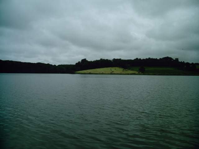 2007-07-08 - brem (13)