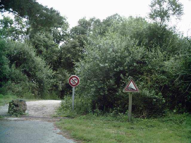 2007-07-08 - brem (16)