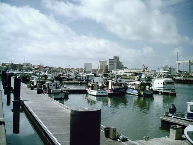 2007-07-25 (42)