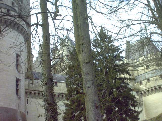 2005-03-26 Compiegne (14)