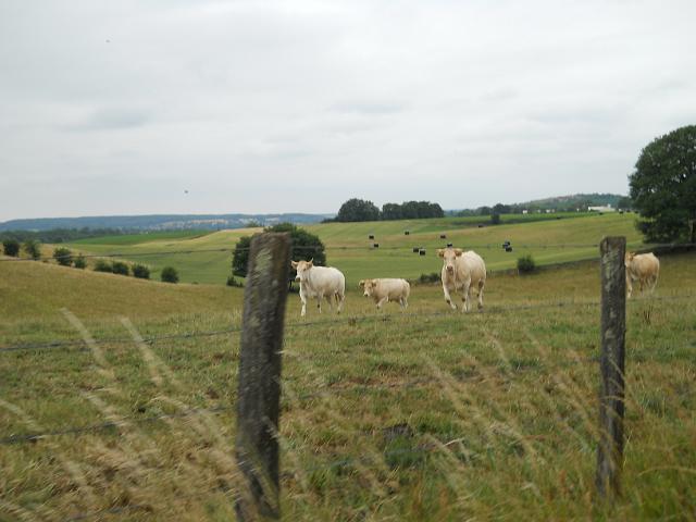 2011-06-02 - serrieres (017)