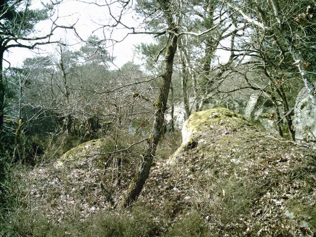 2009-04-05 - boutigny (01)