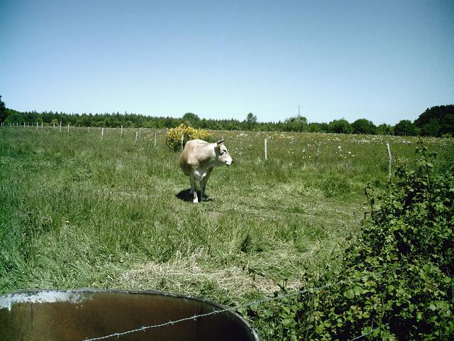 2009-05-22-trignac (050)