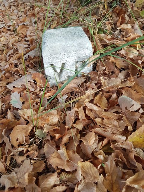 2018-10-21 - veneux-les-sablons (17)