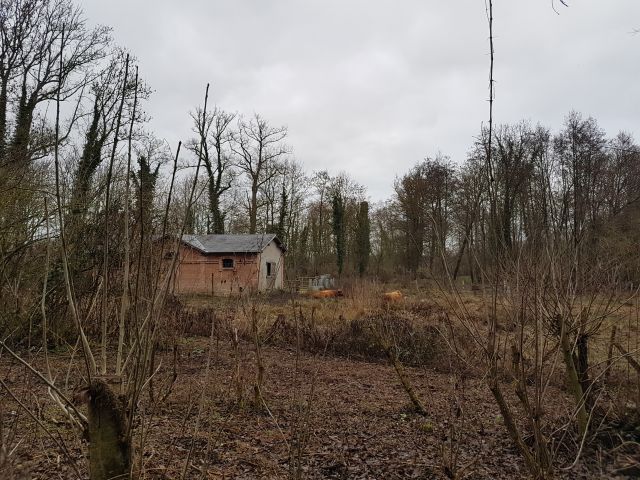 2018-12-31 - fontenay-le-vicomte (06)
